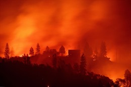 Điểm lại những vụ cháy rừng kinh hoàng nhất lịch sử Bắc Mỹ