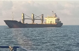 Tàu ngũ cốc lớn đầu tiên của Ukraine rời cảng Biển Đen