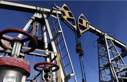 Nga tuyên bố không bán dầu theo trần giá của phương Tây