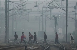 Thủ đô của Ấn Độ chìm trong ô nhiễm không khí nghiêm trọng