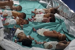 Thách thức sơ tán bệnh nhân mắc kẹt bên trong bệnh viện lớn nhất Gaza