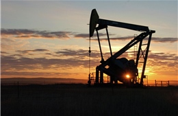 Mỹ chật vật lấp đầy kho dự trữ dầu mỏ đang ở mức thấp kỷ lục