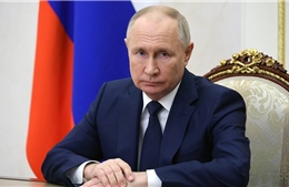 Tổng thống Putin: Đức chịu thiệt hại nặng nề nhất khi &#39;đóng băng&#39; quan hệ với Nga