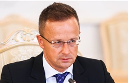 Hungary đề xuất kế hoạch để đạt được lệnh ngừng bắn ở Ukraine