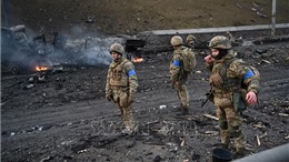 Tình báo quân sự Ukraine thừa nhận Kiev không thể chiến thắng trên chiến trường