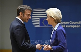 Bloomberg: Tổng thống Pháp thúc đẩy nỗ lực gây áp lực với Chủ tịch EC