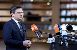 Ngoại trưởng Ukraine tiết lộ thời điểm bắt đầu đàm phán hòa bình với Liên bang Nga