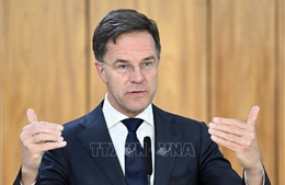 Politico: Tất cả thành viên NATO nhất trí ông Mark Rutte làm Tổng thư ký tiếp theo