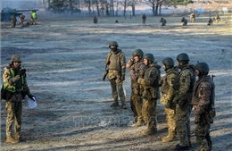 New York Times: Ukraine sẽ không mở cuộc phản công mới trong năm nay
