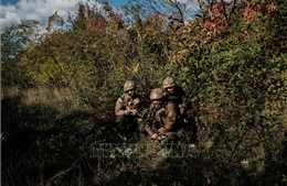 Nga kiểm soát khu định cư ở vùng Donetsk