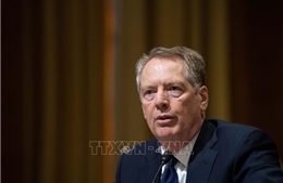 Robert Lighthizer - ‘ông vua thương mại’, thành viên tiềm năng trong nội các của ông Trump