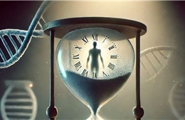 Death Clock – Ứng dụng AI có thể dự đoán tuổi thọ của con người