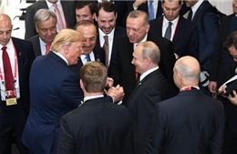 Chuyên gia kinh tế: Nga, Mỹ và Thổ Nhĩ Kỳ có thể mở đường cho hòa bình tại Ukraine