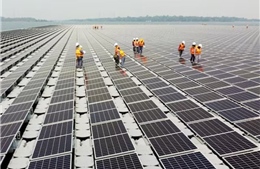 Ngành pin mặt trời Đông Nam Á lao đao vì phụ thuộc thị trường Mỹ