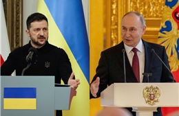 Ngoại trưởng Ukraine phản hồi đề xuất tổ chức cuộc gặp giữa ông Putin và Zelensky