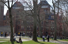 Trước biến động tại Đại học Harvard, Nhật Bản đề xuất tiếp nhận sinh viên quốc tế