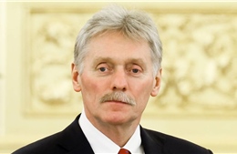 Điện Kremlin khẳng định chưa công khai điều kiện ngừng bắn với Ukraine