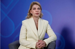 Ukraine bổ nhiệm đặc phái viên mới tại Mỹ