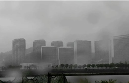 Trung Quốc căng mình chống bão Wipha: Mưa lớn, gió giật mạnh đe dọa diện rộng