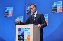 Hơn một nửa thành viên NATO cam kết tham gia sáng kiến mua vũ khí Mỹ cho Ukraine