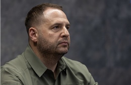 Tổng thống Zelensky đối mặt áp lực sa thải Chánh văn phòng Yermak