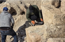 Israel phát hiện cung điện hoàng gia mới tại pháo đài cổ Alexandrium