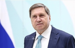 Nga lên tiếng về quyền kiểm soát khu vực Donbass