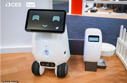 Robot 'quản gia thú cưng' thay chủ chăm sóc chó mèo khi vắng nhà