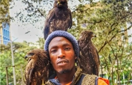 'Người chim' Nairobi và hành trình lặng lẽ bảo vệ chim hoang dã