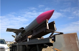 Ukraine thừa nhận mất dây chuyền sản xuất tên lửa Flamingo