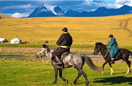 Vó ngựa trên những miền đất văn hóa nhân loại 