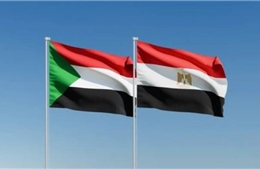 Ai Cập coi khủng hoảng Sudan là phép thử chiến lược