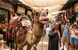 Hàng chục 'thí sinh lạc đà' bị loại khỏi cuộc thi sắc đẹp vì can thiệp thẩm mỹ