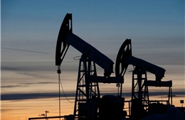 Chuyên gia: Nga có thể ổn định thị trường năng lượng toàn cầu