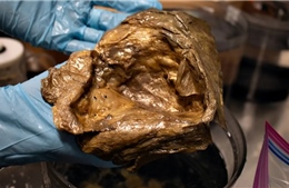 Giải mã bí ẩn 'quả cầu vàng' dưới đáy biển sâu hơn 3.000 m