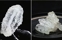 Gà rán 'trong suốt' như thuỷ tinh gây sốt mạng xã hội