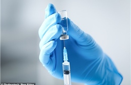 Thách thức trong cuộc đua phát triển vaccine phòng virus Hanta