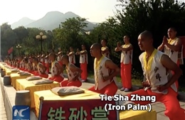 Người đàn ông sở hữu 'bàn tay sắt' dày 8 cm sau 20 năm khổ luyện Thiết Sa chưởng