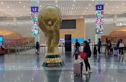 Chiếc cúp vô địch World Cup đáng giá bao nhiêu?