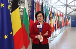 Nhịp đập Brussels trong dòng thời sự
