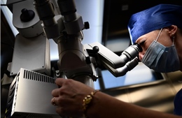 Nga phát triển hạt nano ‘tự giới hạn nhiệt’ có thể đốt nóng tế bào ung thư