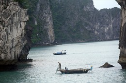 Du lịch Việt Nam: Khám phá vịnh Hạ Long qua du thuyền