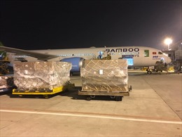Bamboo Airways vận chuyển miễn phí hàng cứu trợ đến miền Trung