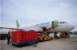 Bamboo Airways miễn phí vận chuyển cán bộ, thiết bị y tế cho Hải Dương