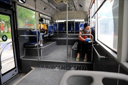 Doanh thu vận tải khách bằng xe buýt tại Hà Nội sụt giảm mạnh