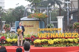  &#39;Ngày tìm hiểu văn hoá Việt Nam năm 2022&#39; tại Home Hanoi Xuan