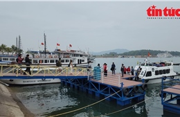 Trải nghiệm du thuyền trên vịnh Lan Hạ thu hút đông du khách đầu năm mới