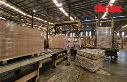 Cận cảnh quy trình sản xuất ván MDF của hệ thống nhà máy Top 10 thế giới tại Việt Nam