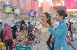 Vietnam Airlines mang đào, mai về nhà cho hành khách