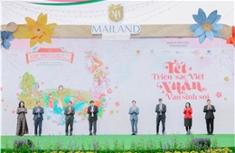 Khai mạc đường hoa xuân lớn nhất phía Tây Hà Nội - Home Hanoi Xuan 2024 tại Mailand Hanoi City